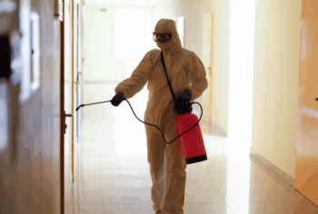 Dedetização em Escritórios e Coworkings no Centro e Av. Paulista: Preparando o “Back to Office”